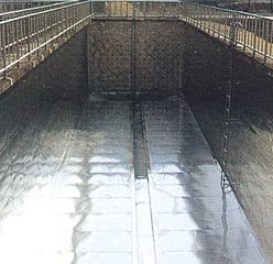 stailless TANK